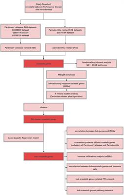 Identifying crosstalk genetic biomarkers linking a neurodegenerative disease, Parkinson’s disease, and periodontitis using integrated bioinformatics analyses